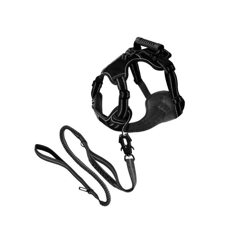 Performance Walk Bundle