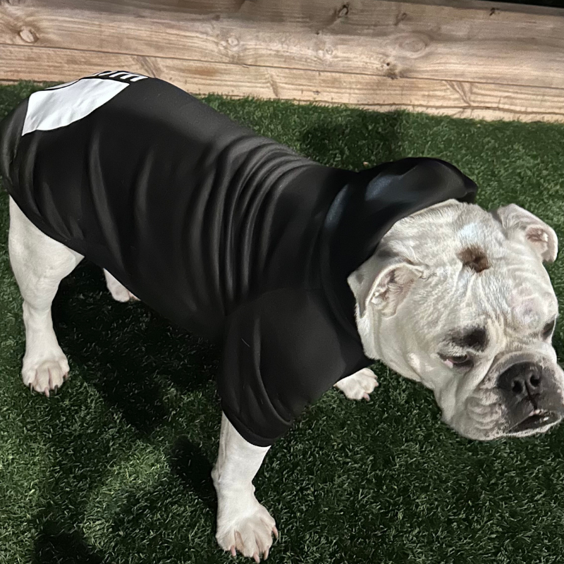 Dog Hoodie Soft Warm