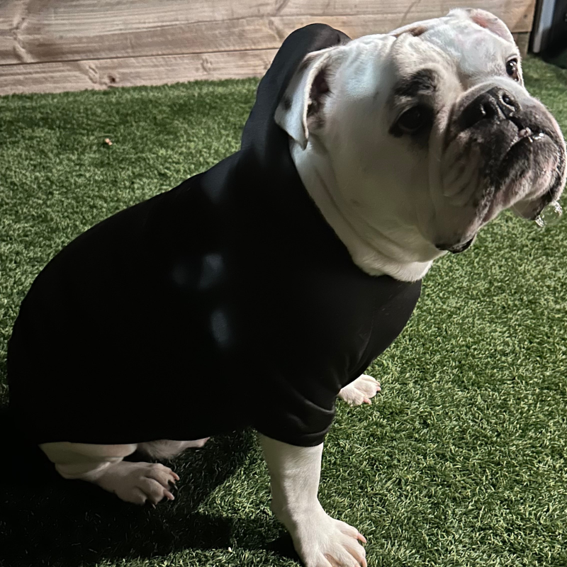 Dog Hoodie Soft Warm