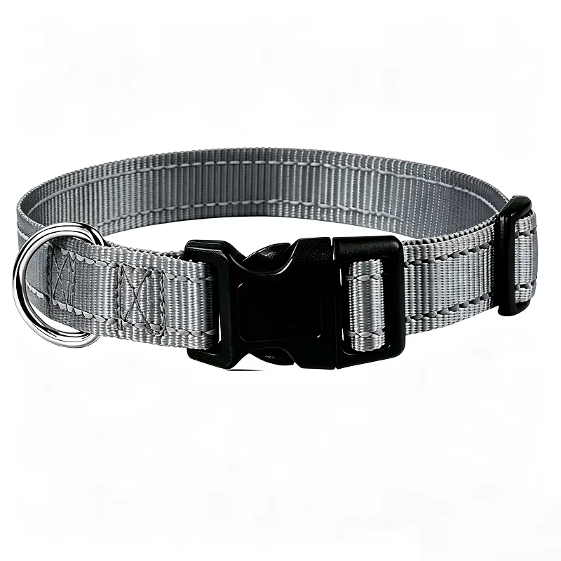 Classic Everyday Dog Collar