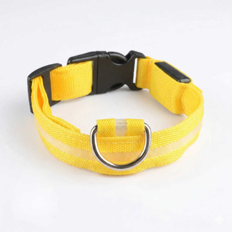 Rechargeable LED Dog Collar