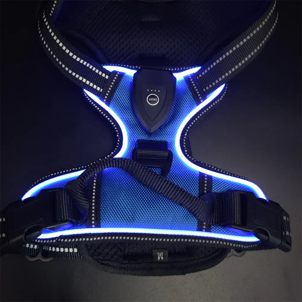 LED Light Up Reflective Harness