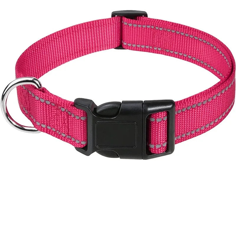 Classic Everyday Dog Collar