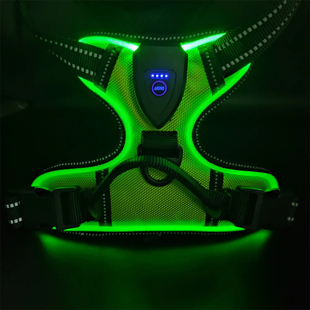 LED Light Up Reflective Harness