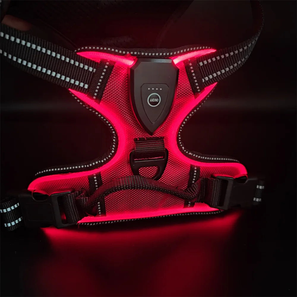 LED Light Up Reflective Harness