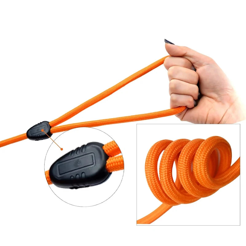 Heavy-Duty Long Dog Lead