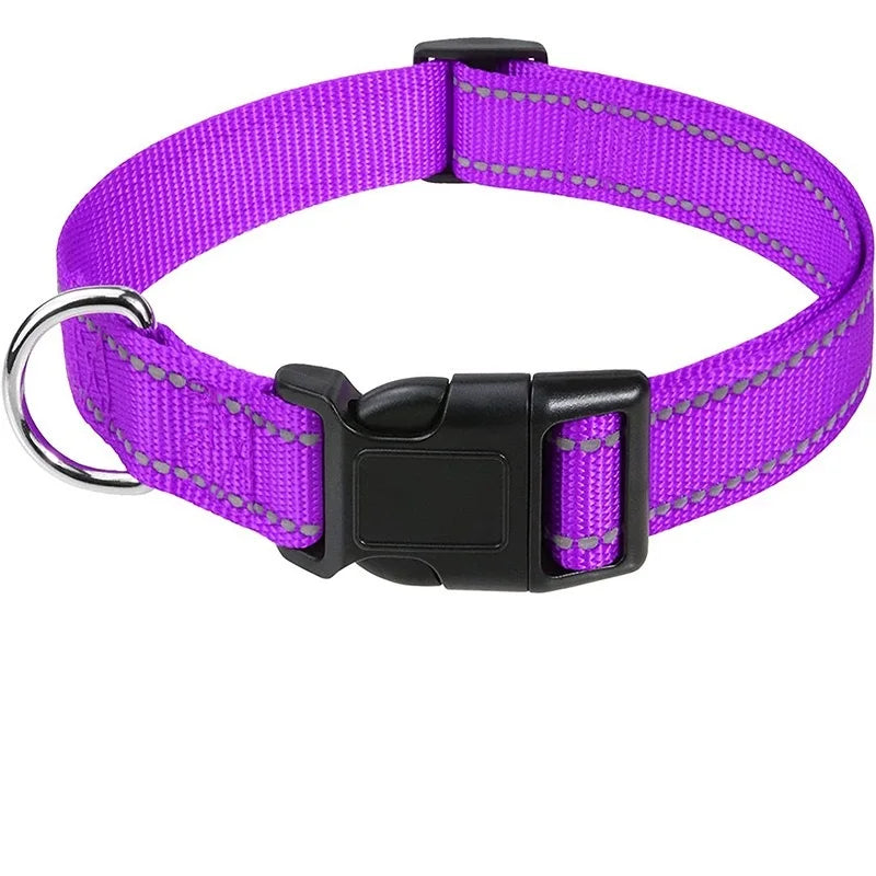 Classic Everyday Dog Collar
