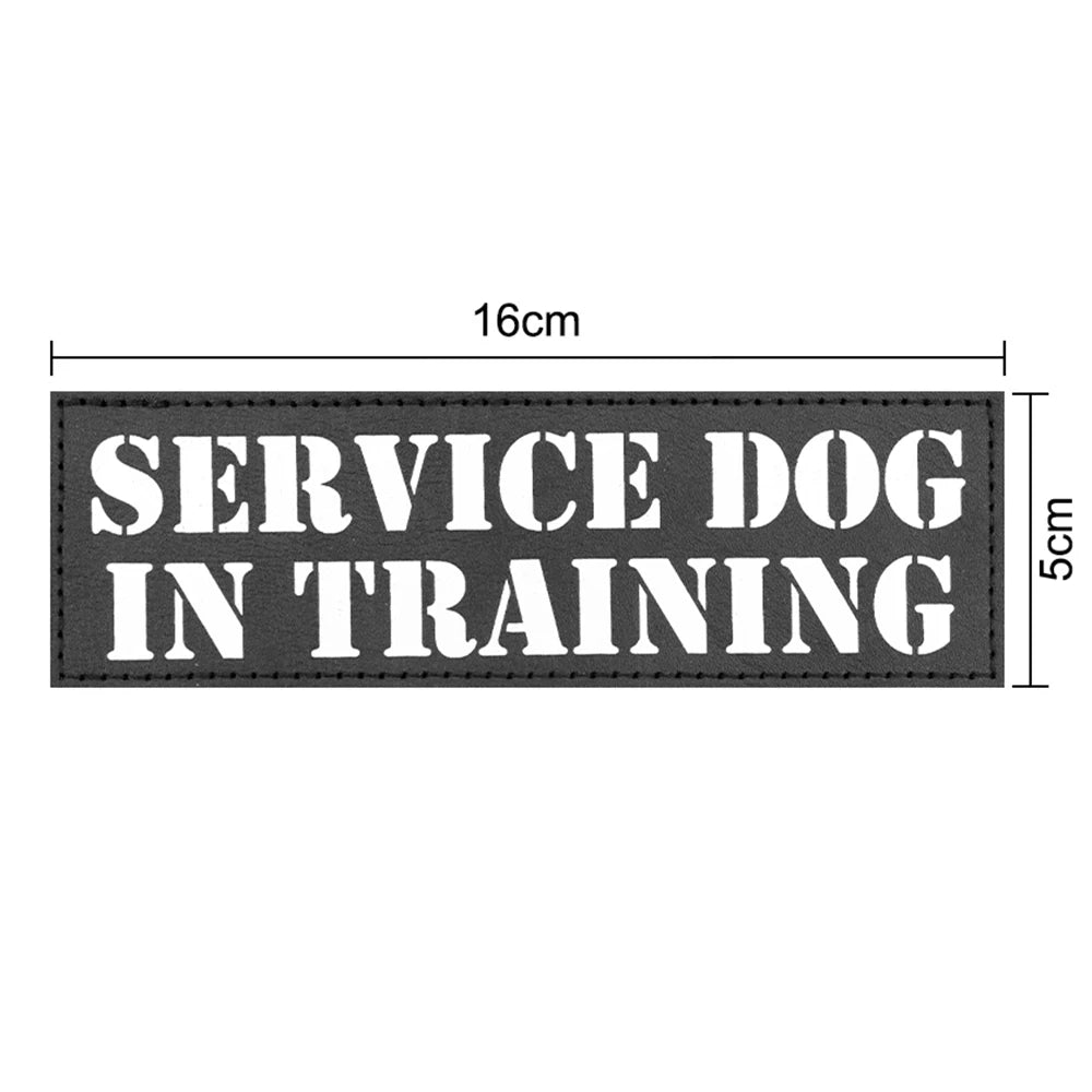 Personalized Harness Patch