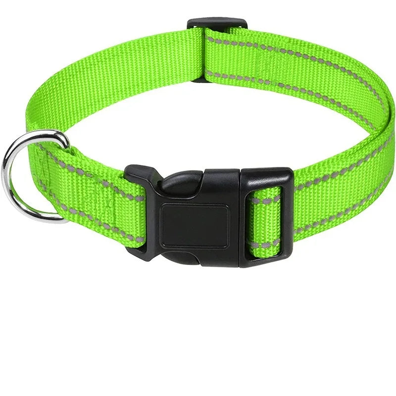 Classic Everyday Dog Collar