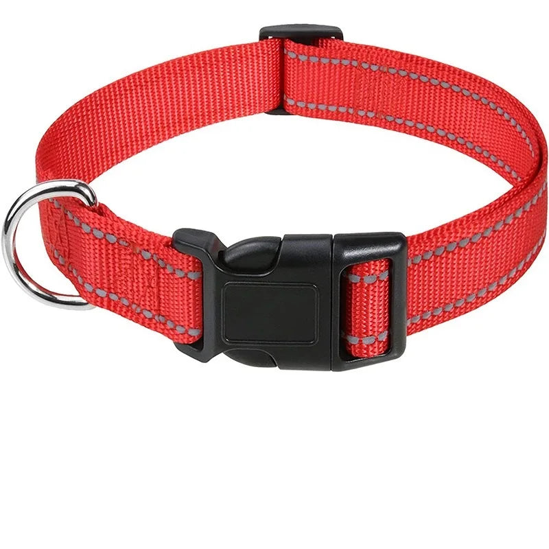 Classic Everyday Dog Collar
