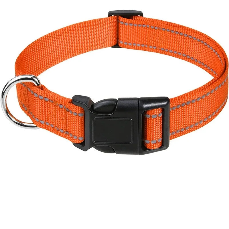 Classic Everyday Dog Collar
