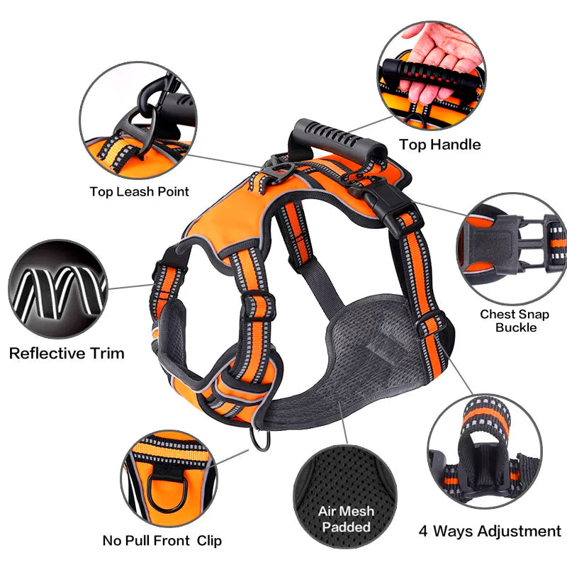 Performance No-Pull Reflective Harness
