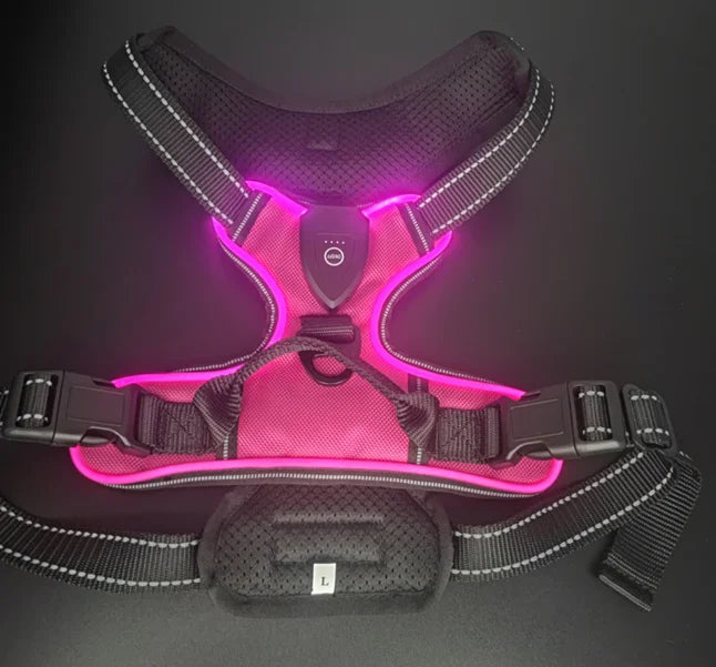 LED Light Up Reflective Harness