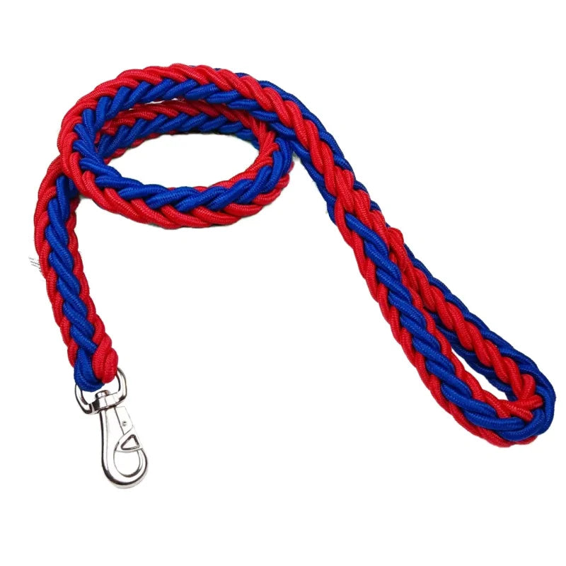 Heavy-Duty Braided Nylon Dog Lead