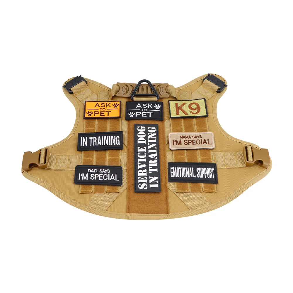 Personalized Harness Patch