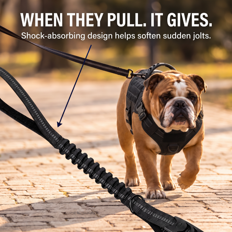 Reflective Shock-Absorbing Dog Lead