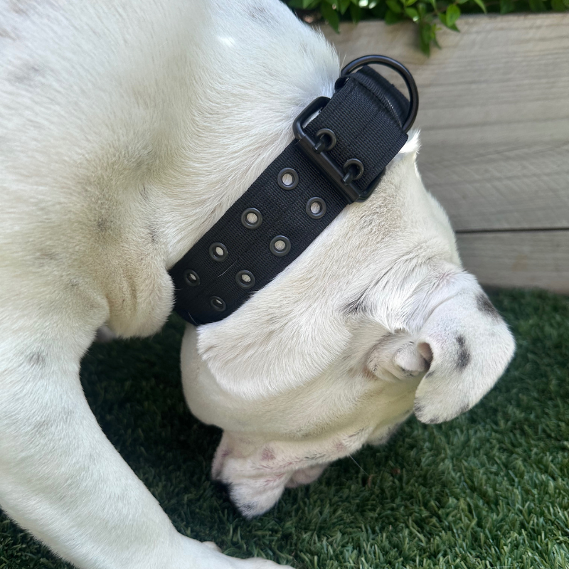Adjustable Reflective Tactical Dog Collar