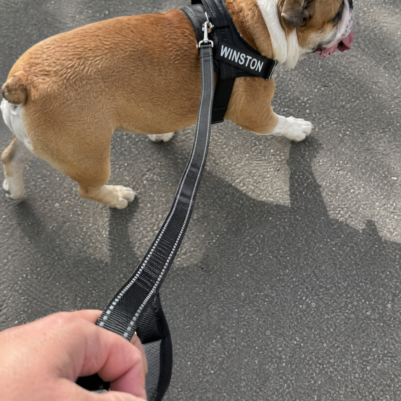 Classic Reflective Dog Lead