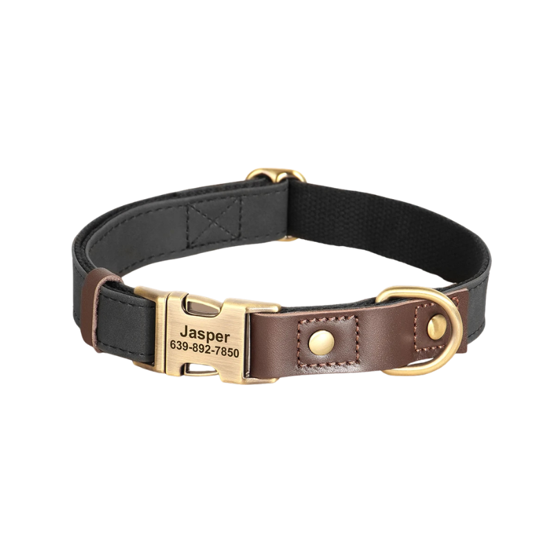 Personalised Dog Collar with Engraved Nameplate