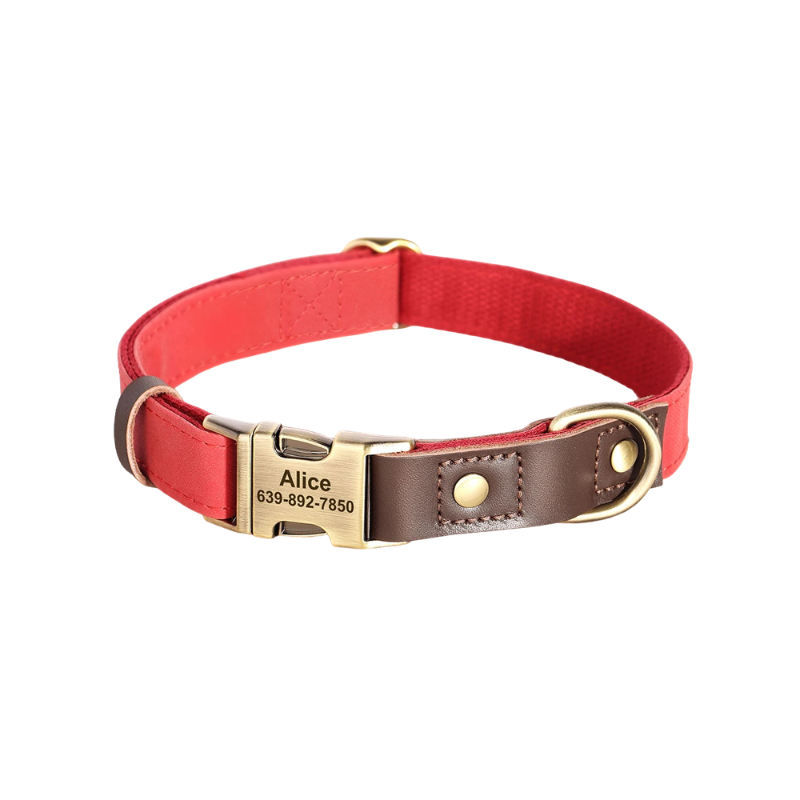 Personalised Dog Collar with Engraved Nameplate