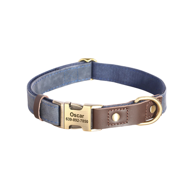Personalised Dog Collar with Engraved Nameplate