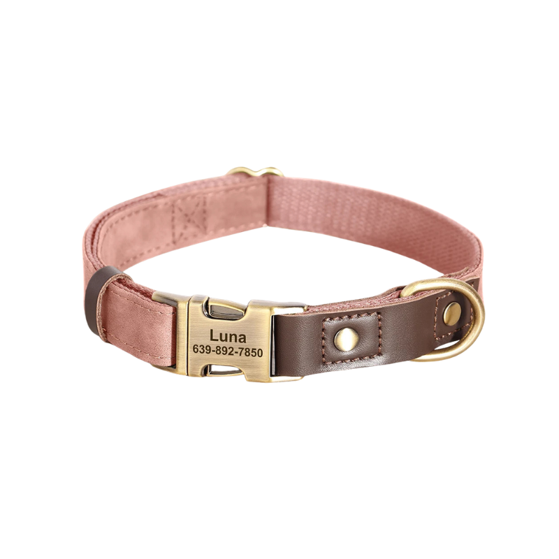 Personalised Dog Collar with Engraved Nameplate