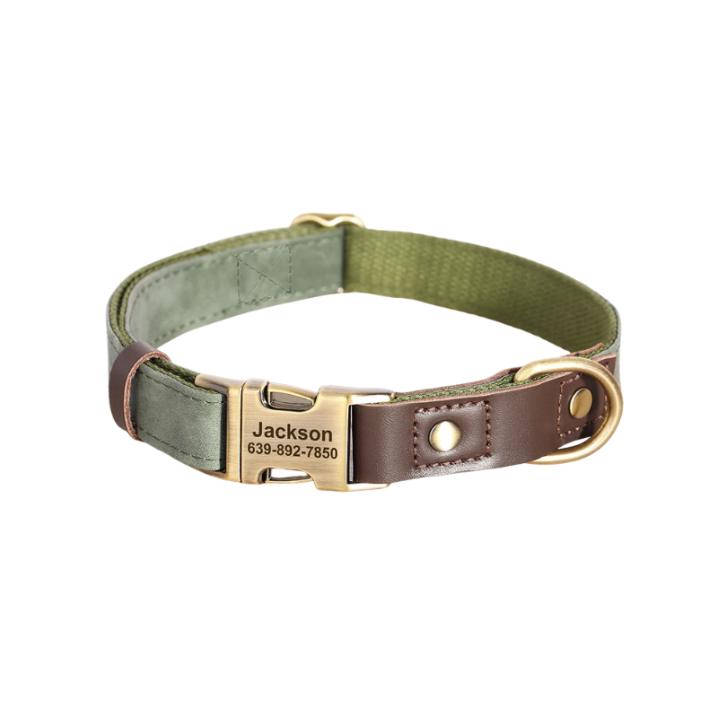 Personalised Dog Collar with Engraved Nameplate
