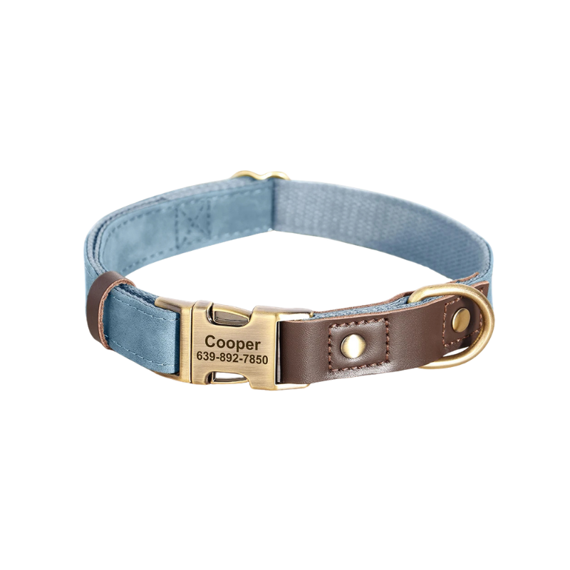 Personalised Dog Collar with Engraved Nameplate