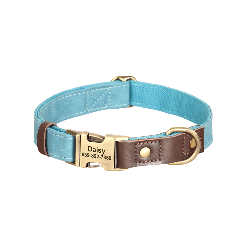 Personalised Dog Collar with Engraved Nameplate