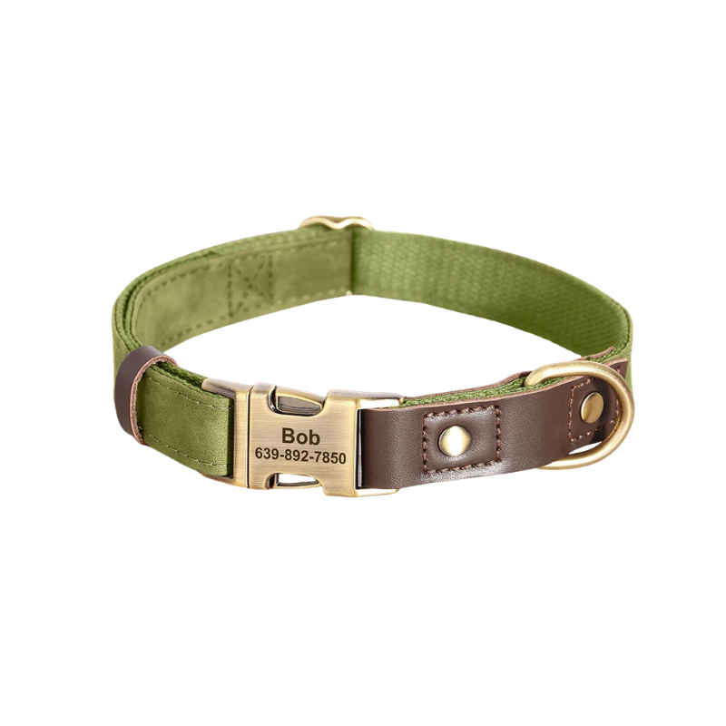 Personalised Dog Collar with Engraved Nameplate