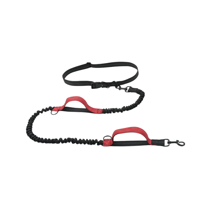 Hands-Free Bungee Dog Lead with Reflective Trim