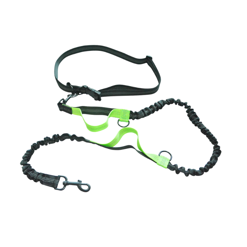 Hands-Free Bungee Dog Lead with Reflective Trim
