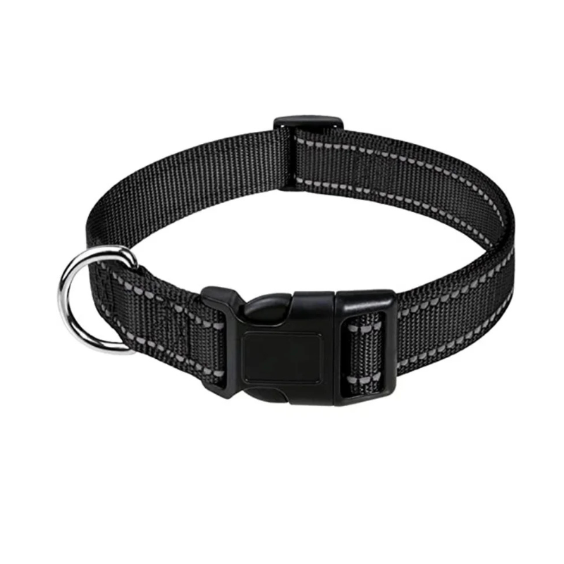 Classic Everyday Dog Collar