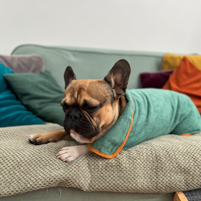 Dog Drying Coat