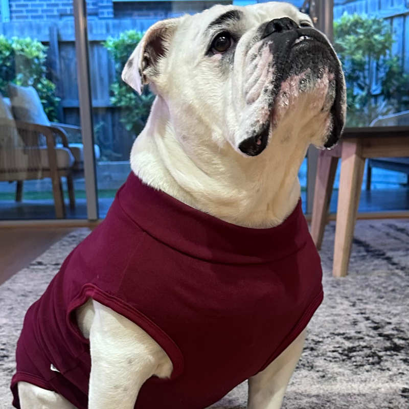 Lightweight Dog Fleece Jumper