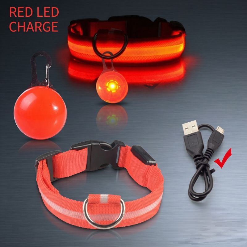 Rechargeable LED Dog Collar