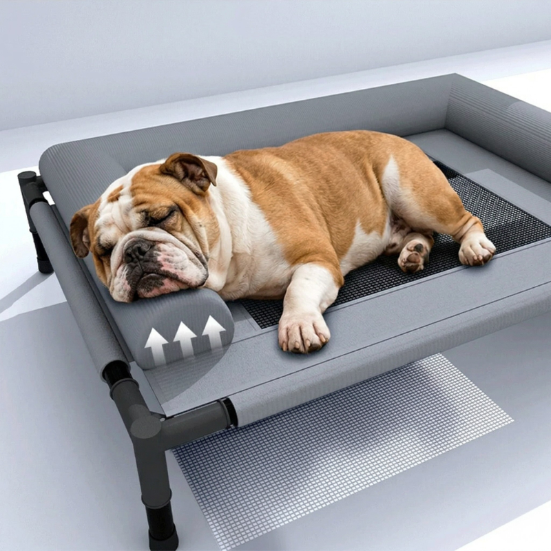 Raised Breathable Dog Bed with Removable Cushion