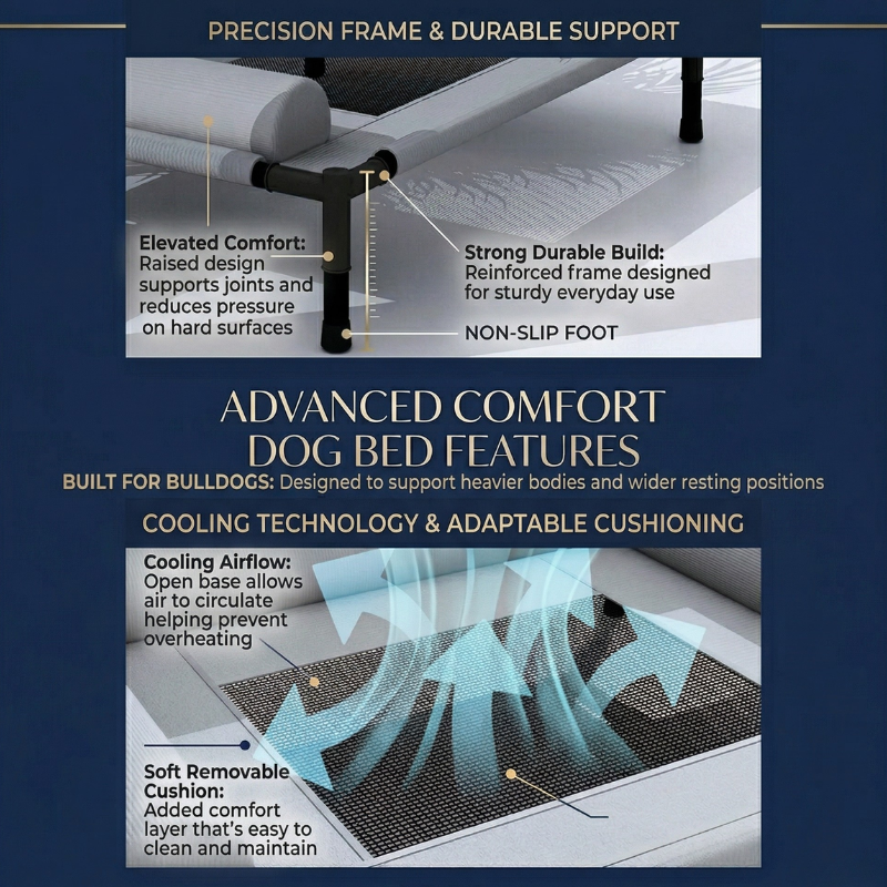 Raised Breathable Dog Bed with Removable Cushion