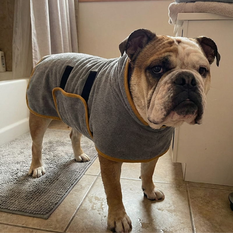 Dog Drying Coat