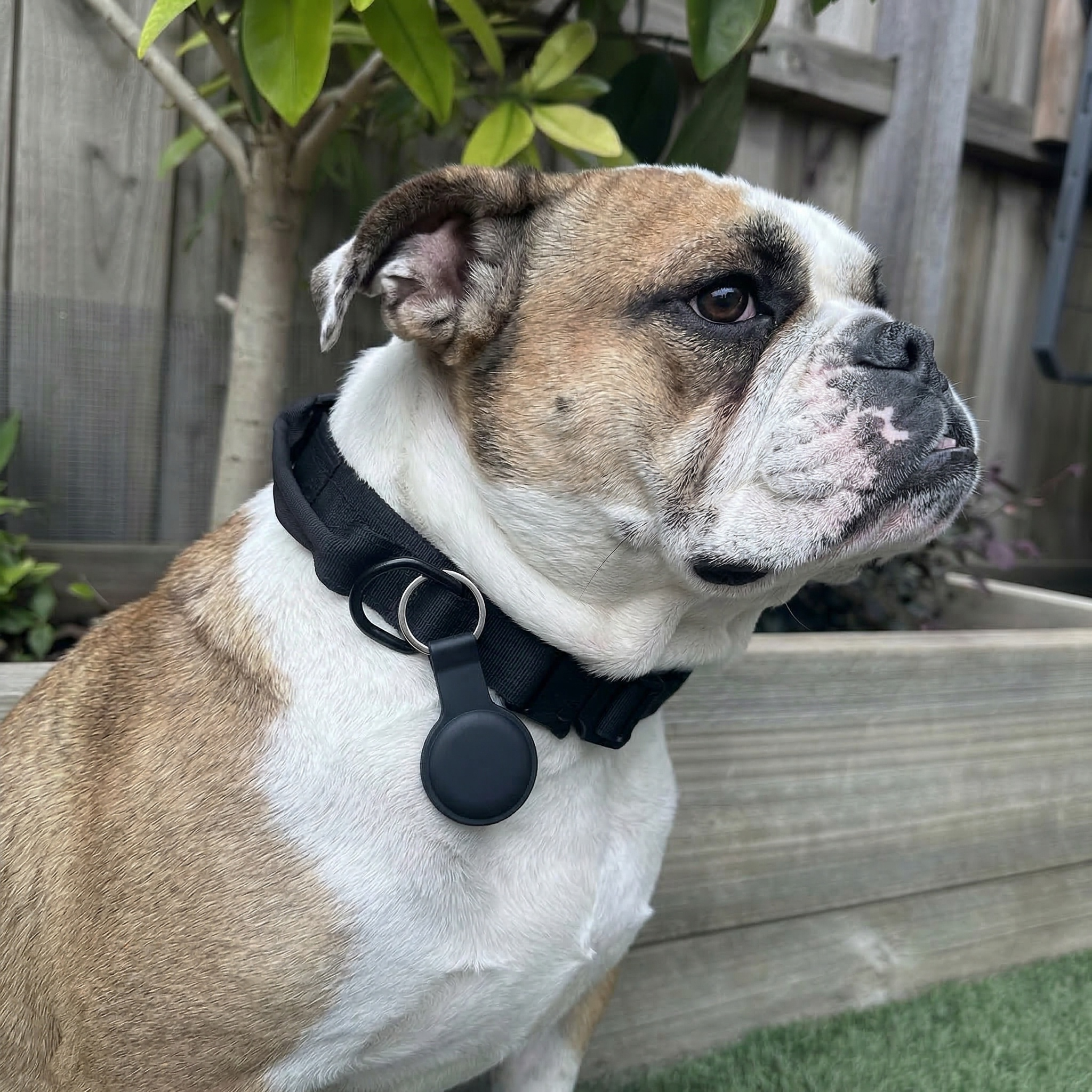 Smart Bluetooth Pet Tracker