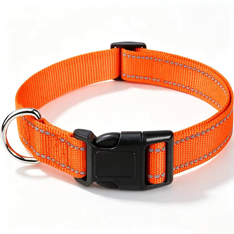 Classic Everyday Dog Collar
