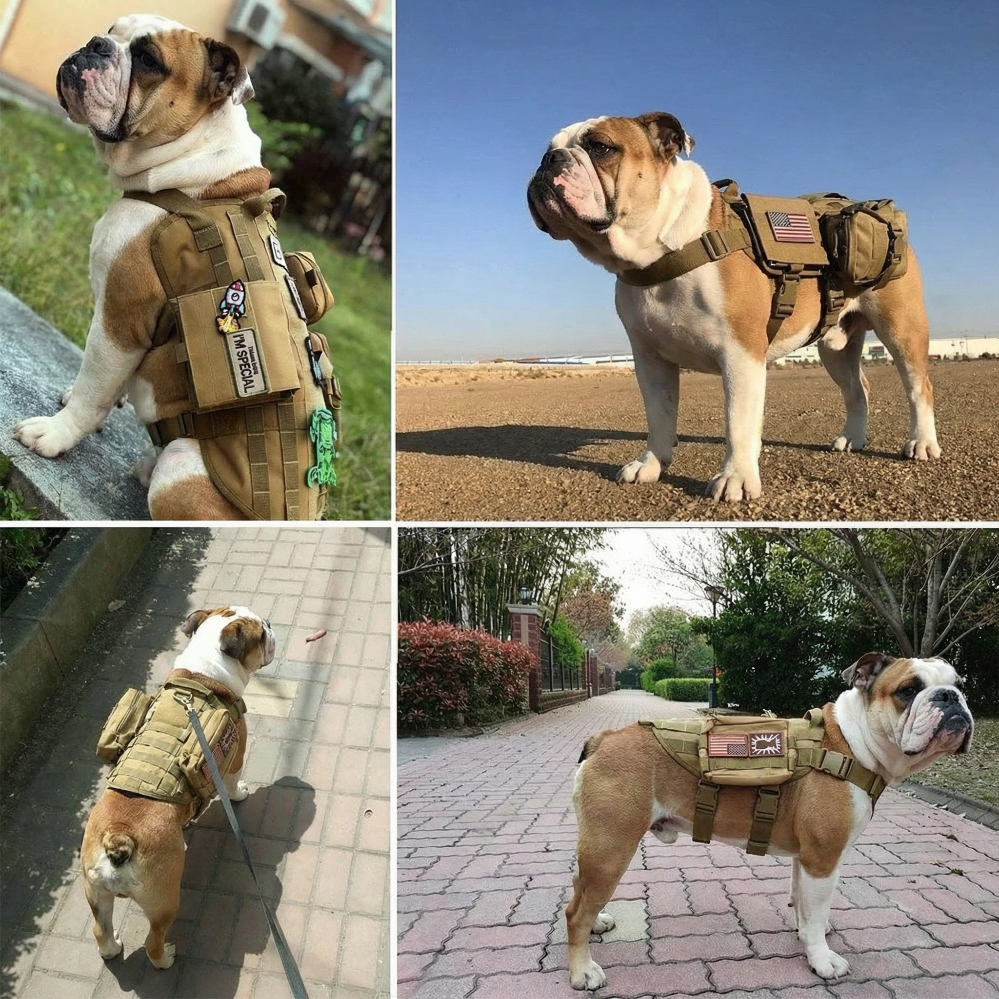 Personalized Harness Patch