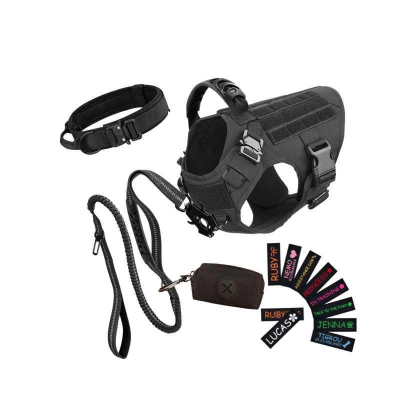 Complete Bulldog Bundle