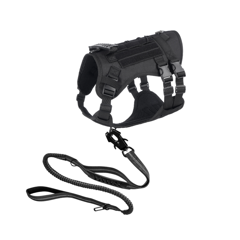 Tactical Walking Set