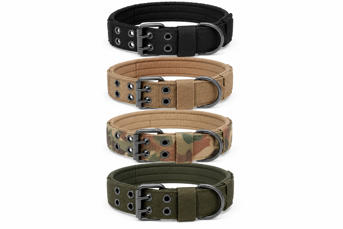 Classic Buckle Dog Collar