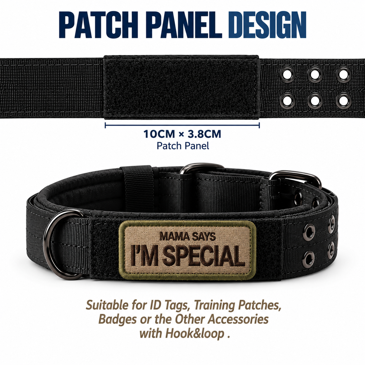 Classic Buckle Dog Collar