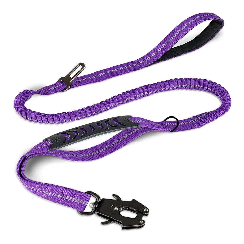 Reflective Shock-Absorbing Dog Lead