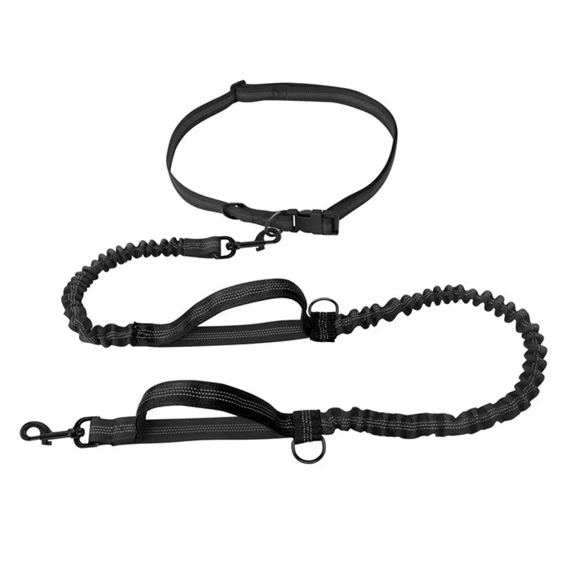 Hands-Free Bungee Dog Lead with Reflective Trim