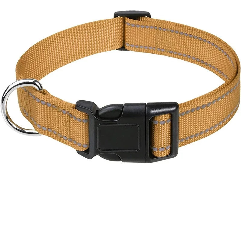 Classic Everyday Dog Collar
