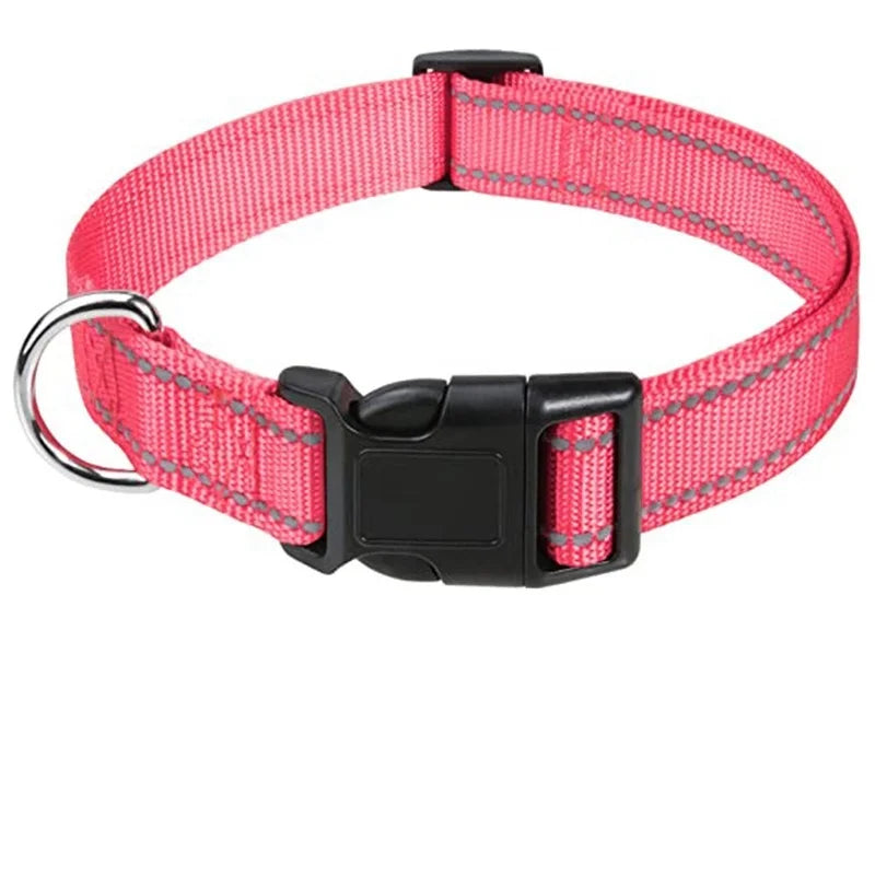 Classic Everyday Dog Collar